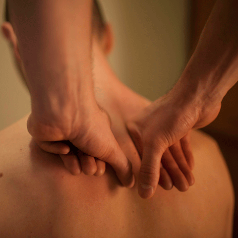 Professional Rolfing structural integration session